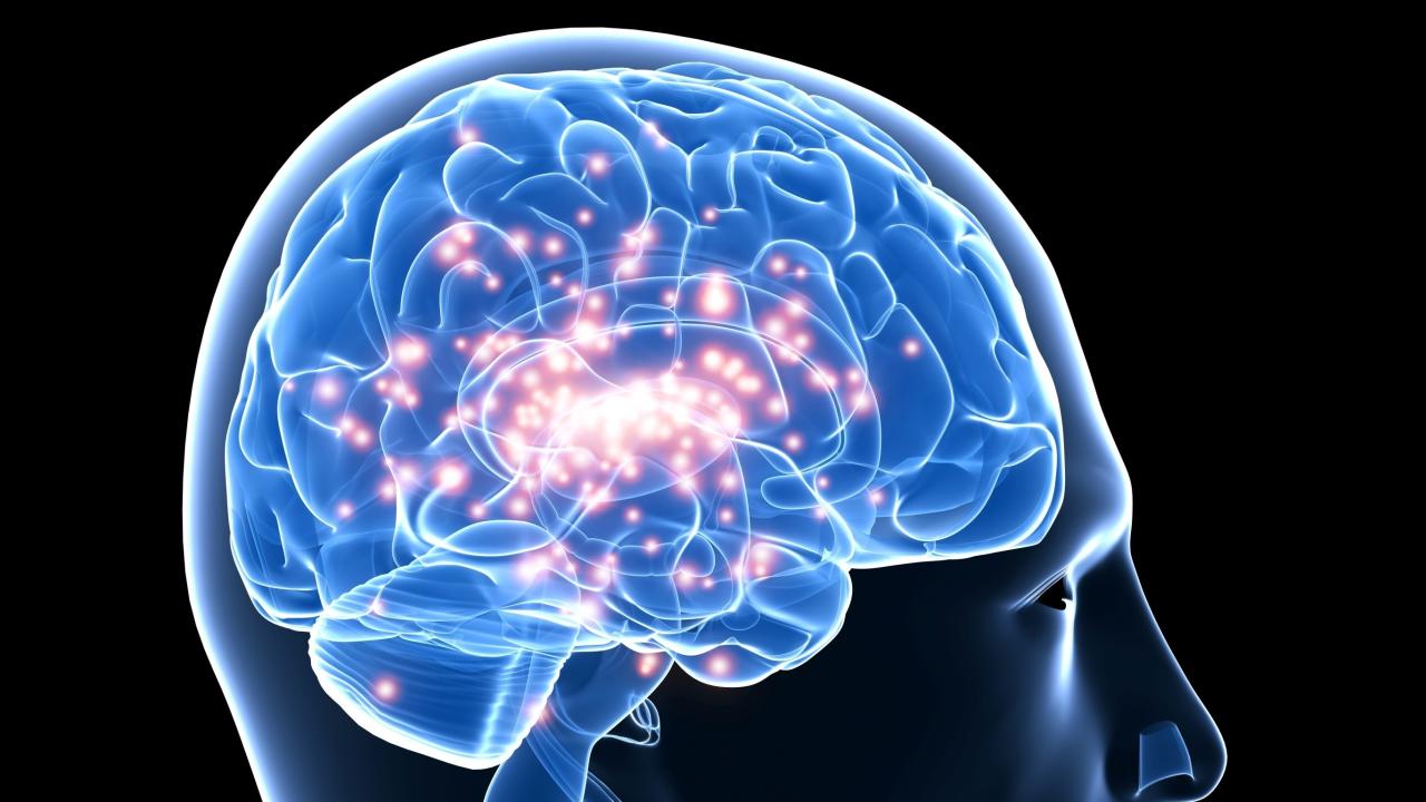 Epilepsy (Seizures): Types, Causes, Symptoms, Treatment, Cure, What To Do?