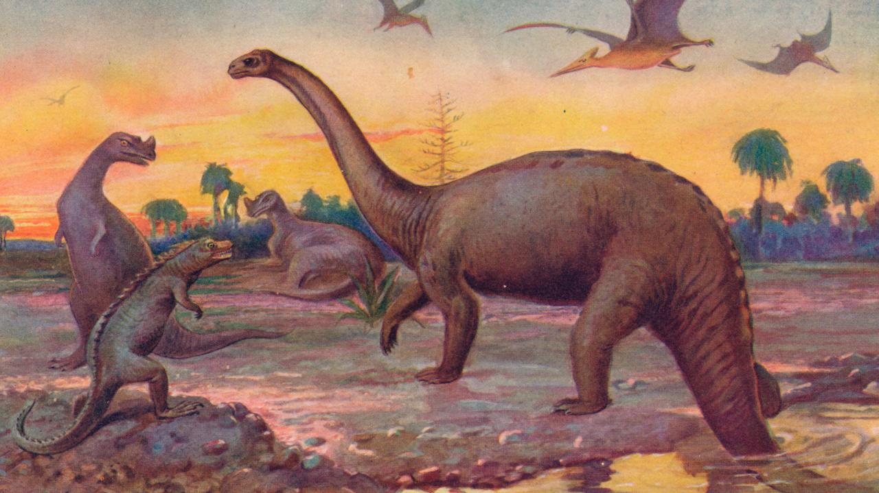 This Interactive Map Lets You See Which Dinosaurs  Lived 