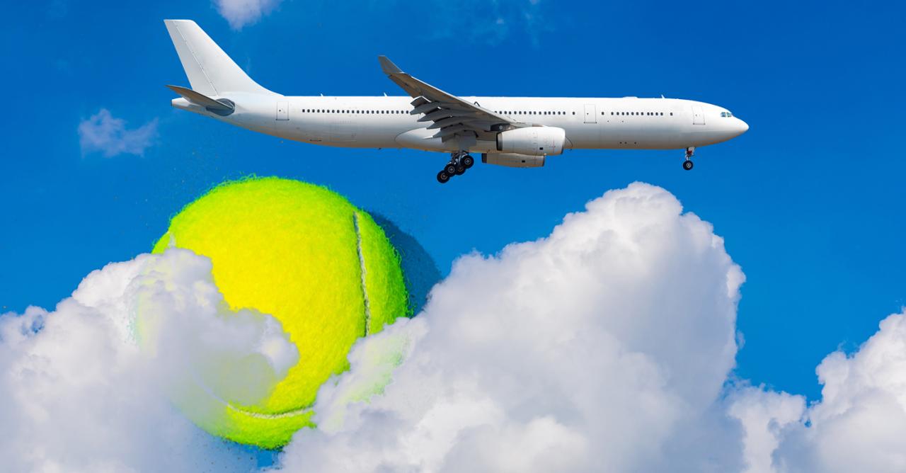 travel with tennis ball